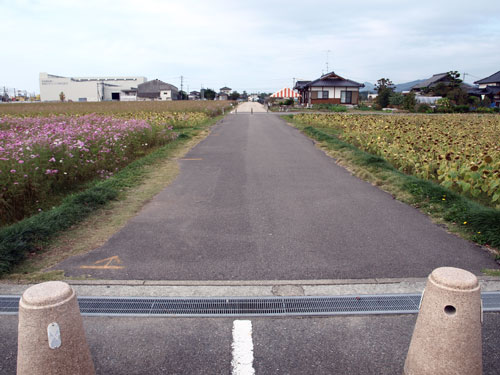 PB084587.JPG