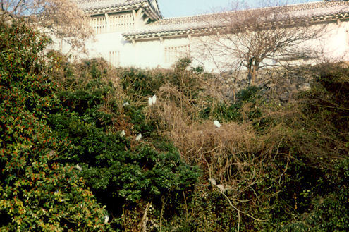 1984-009.jpg