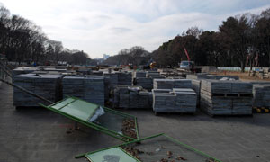 P1114663-1.JPG