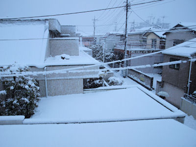P1145871-2.JPG