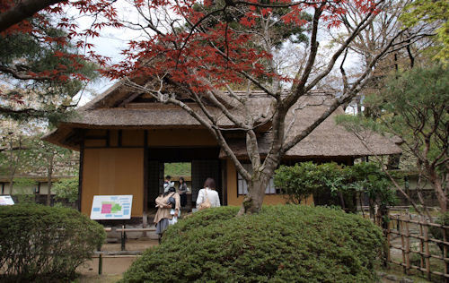 P5018587.JPG