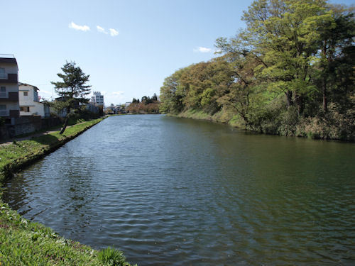 P5028721.JPG