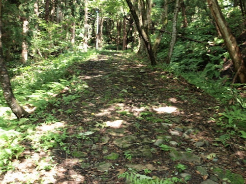 P9050328.JPG